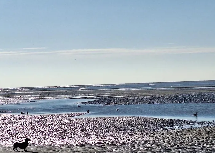 Les Vagues, Terrasse Rez-De-Ch, Parking Gratuit, Animal Bienvenu Et Tout A Pied