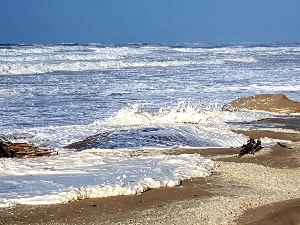 Apartment Les Vagues, Terrasse Rez-de-ch, Parking Gratuit, Animal Bienvenu Et A Pied