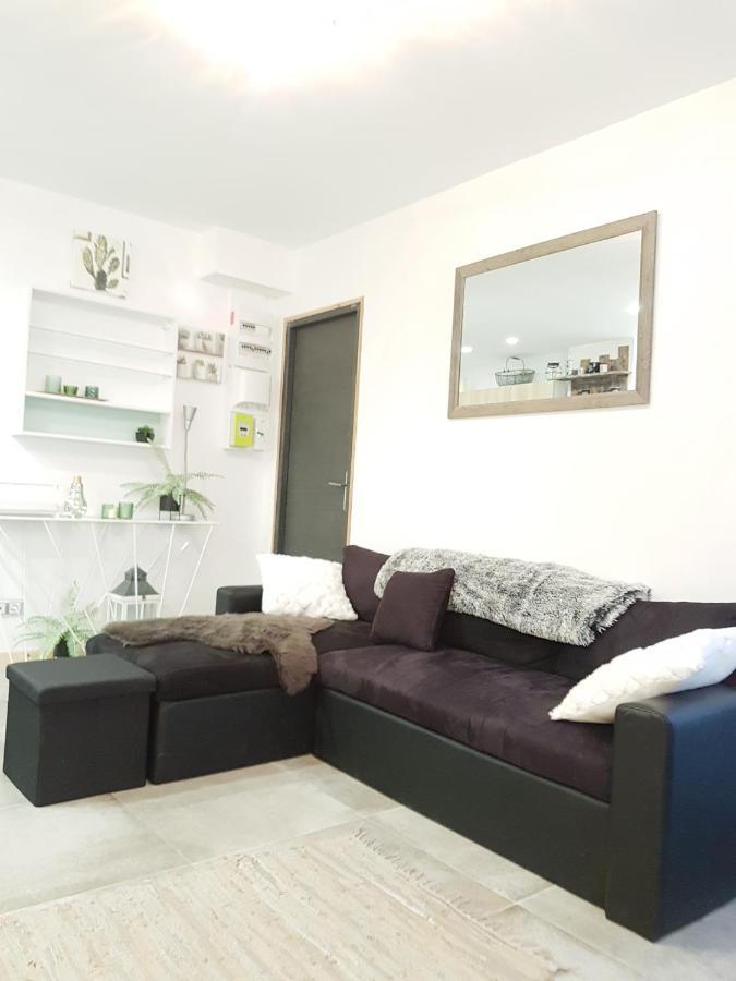 Les Vagues, Terrasse Rez-de-ch, Parking Gratuit, Animal Bienvenu Et A Pied